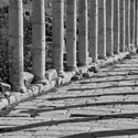 Columns, Jerash, Jordan.