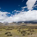 On route from Nam-Tso Lake to Lhasa, Tibet.