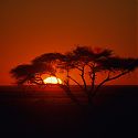 Sunrise, Etosha National Park, Namibia.