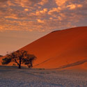Sunrise, Dune 45, Namib-Naukluft Park, Namibia.