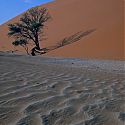 Dune 45, Namib-Naukluft Park, Namibia.