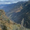 Colca Canyon, Peru.