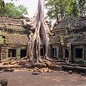 Ta Prohm, The Temples of Angkor, Cambodia.
