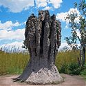 Cathedral Termite Mound, Northern Territory, Australia.