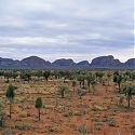 Kata Tjuta (The Olgas), Northern Territory, Australia.
