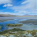 Laguna Colorada, Eduardo Avaroa Reserve, Bolivia.