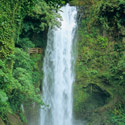 La Paz Waterfall Gardens, Costa Rica.