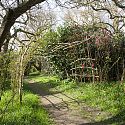 Corylus Arch, Blakenham Woodland Garden, Suffolk