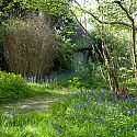 Thatched Summer House, Blakenham Woodland Garden, Suffolk