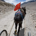 On route to Everest Base Camp by pony & trap, Tibet.