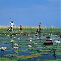 Mokoros, Okalvango Delta, Botswana.