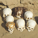 Human remains from the Nazca period, Peru