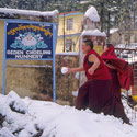 Nuns playing snowball, McLeod Ganj, Dharamsala, India.