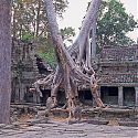 Preah Khan, The Temples of Angkor, Cambodia.